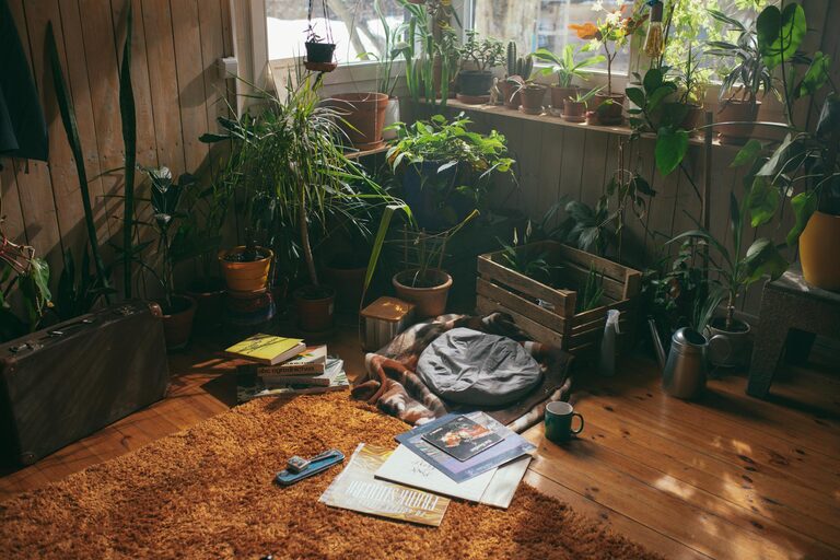 Tips for Creating a Sustainable and Cozy Home Environment Year-Round